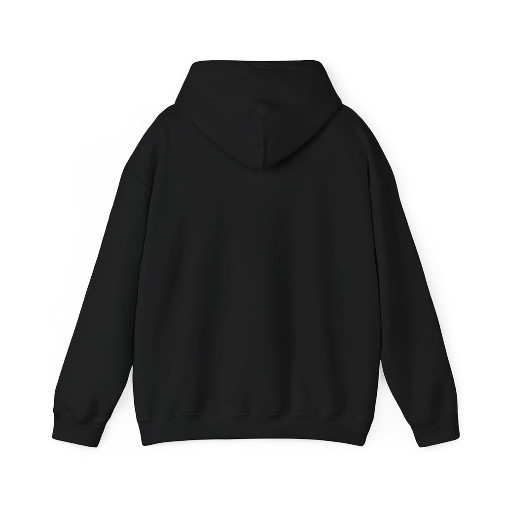 Paw & Heart Pet Lover Hoodie — Gildan Heavy Blend Pullover